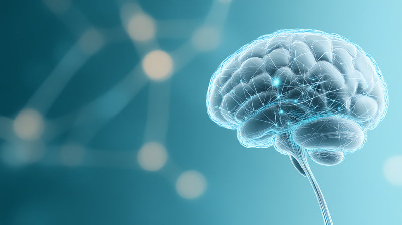 Welcome to Daily Zen: A Skeptic’s, Science-First Guide to Your Nervous System