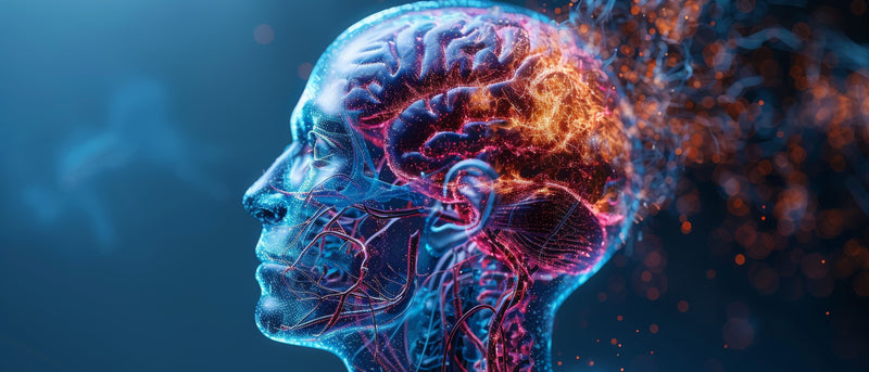 The Vagus-Immune Connection